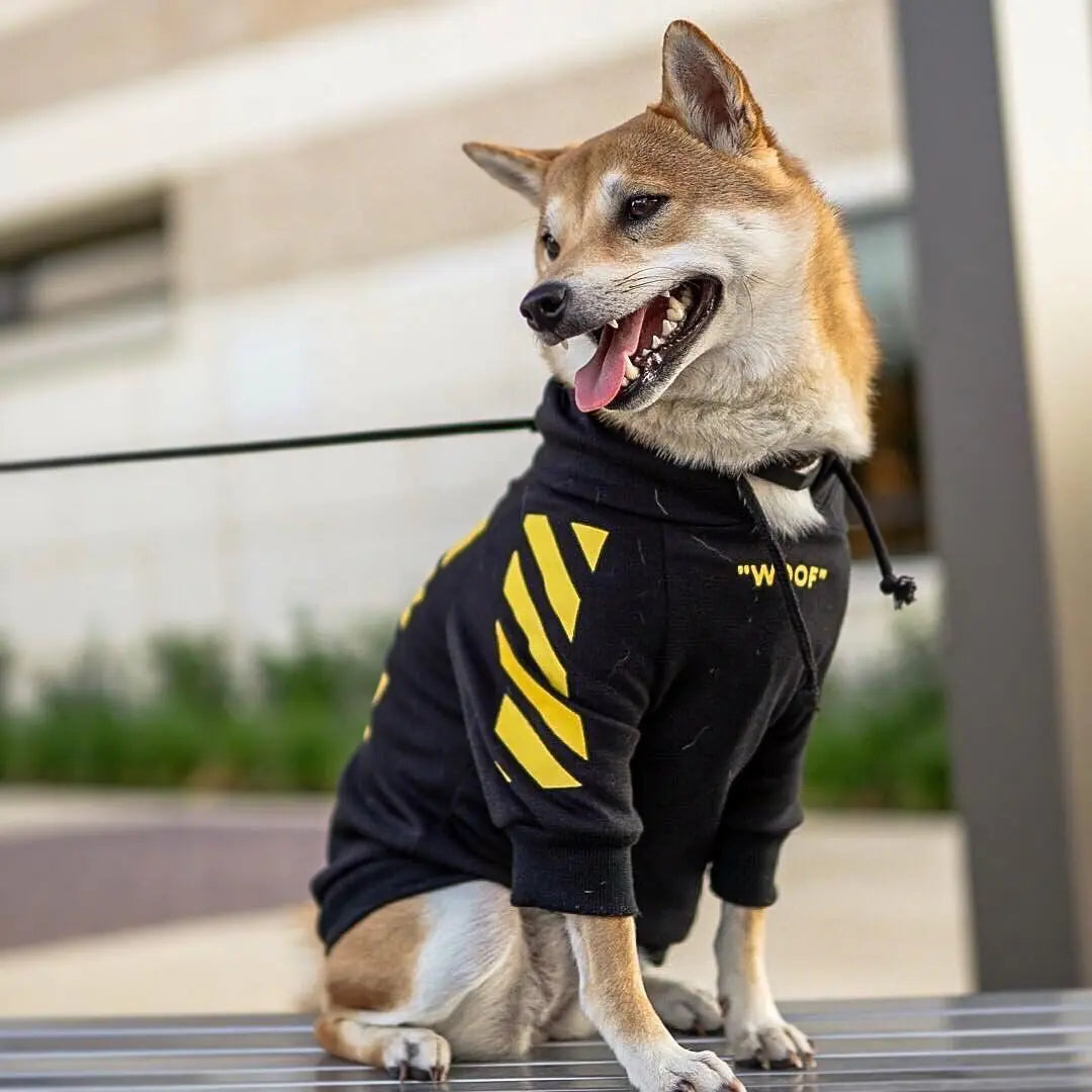 Trendy Fleece Hoodie for Small Dogs (French Bulldog, Pug)
