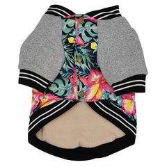 Elegant French Bulldog Clothes