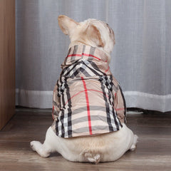Elegant French Bulldog Raincoat
