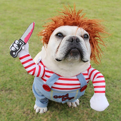 Chucky French Bulldog Costume