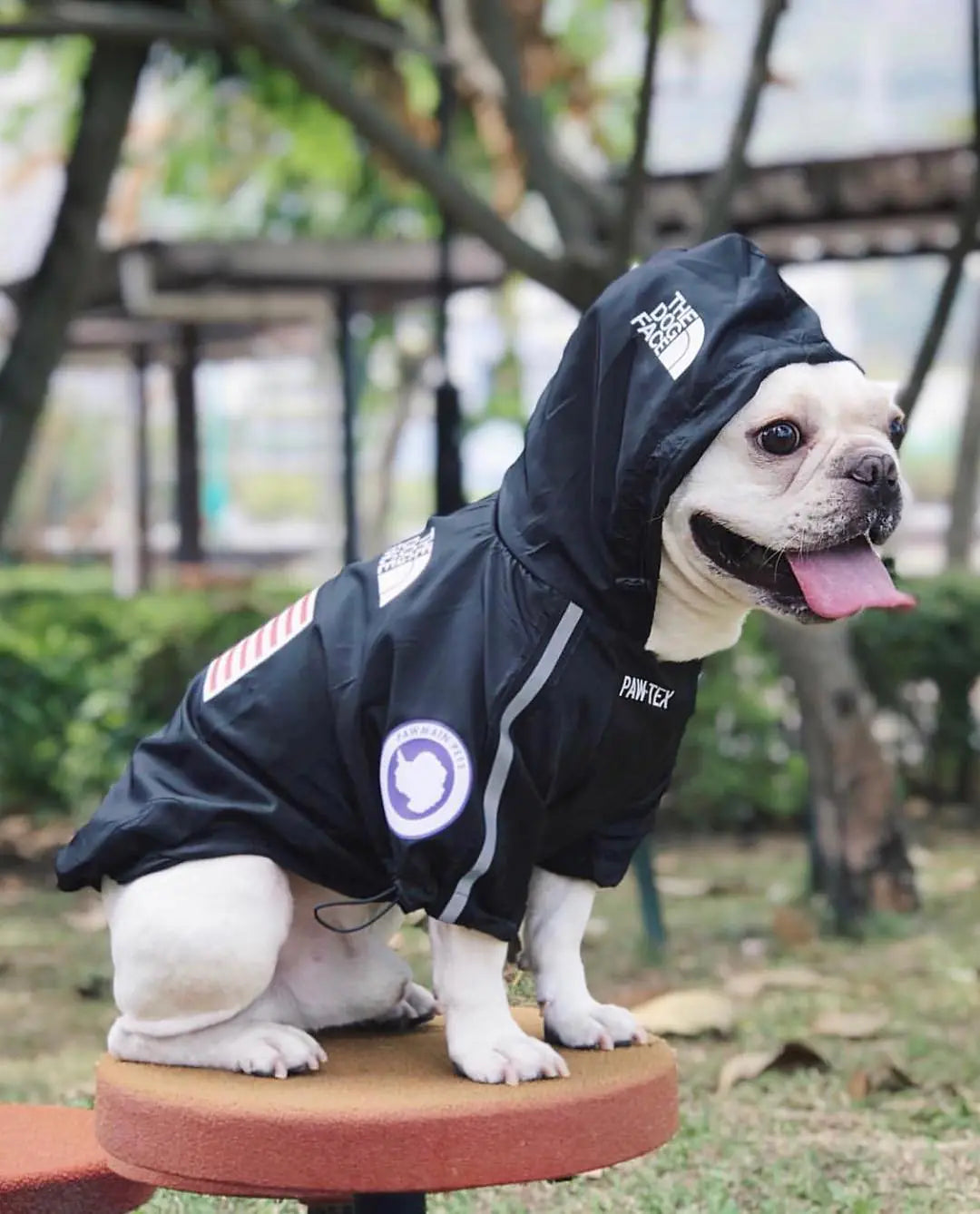 New Waterproof Pet Raincoat for Dogs