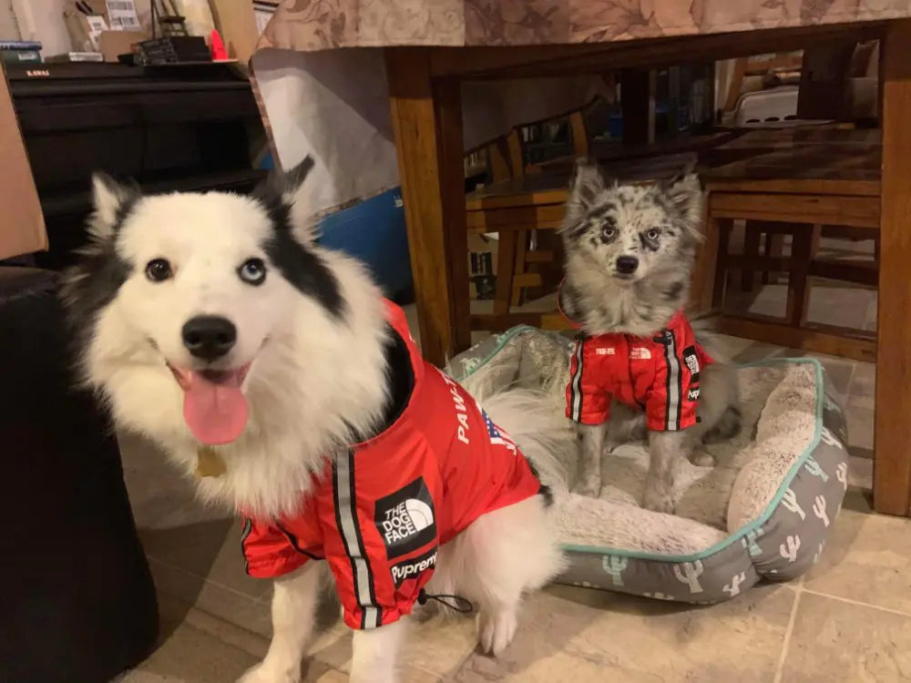 New Waterproof Pet Raincoat for Dogs