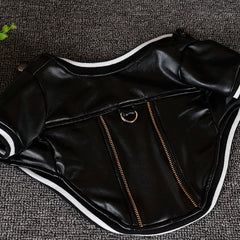 Leather French Bulldog Jacket
