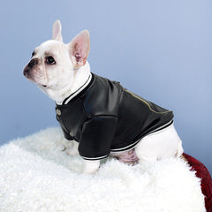 Leather French Bulldog Jacket