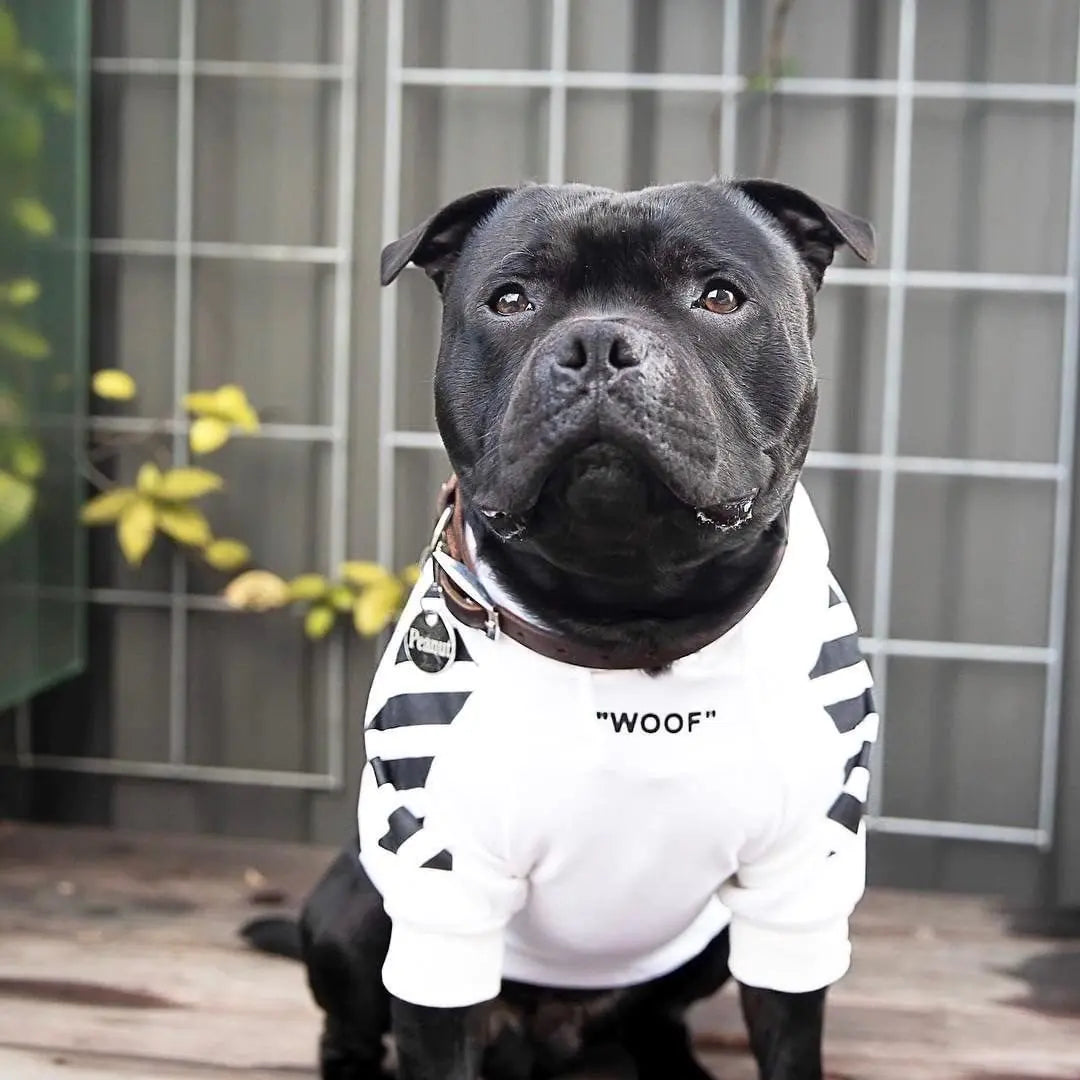 Trendy Fleece Hoodie for Small Dogs (French Bulldog, Pug)