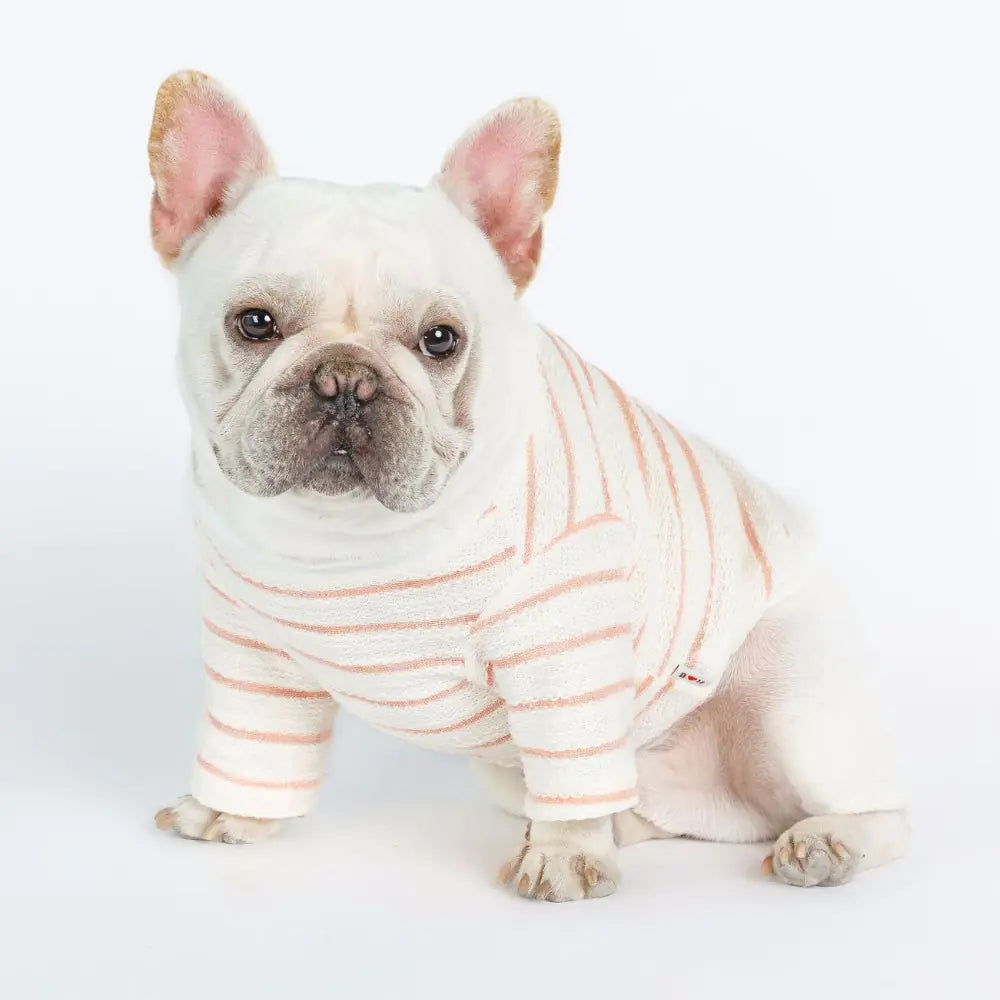 French Bulldog Dog Embroidered Tee