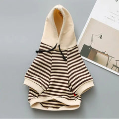 Small Dog Fashion Terry Sweater by Teddy Brand