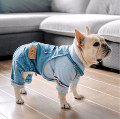 Jeans Jumpsuit for French Bulldog