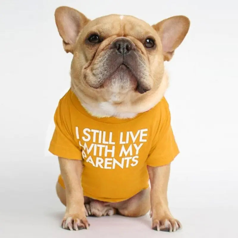 French Bulldog Turtleneck Round Neck T-shirt for Pets