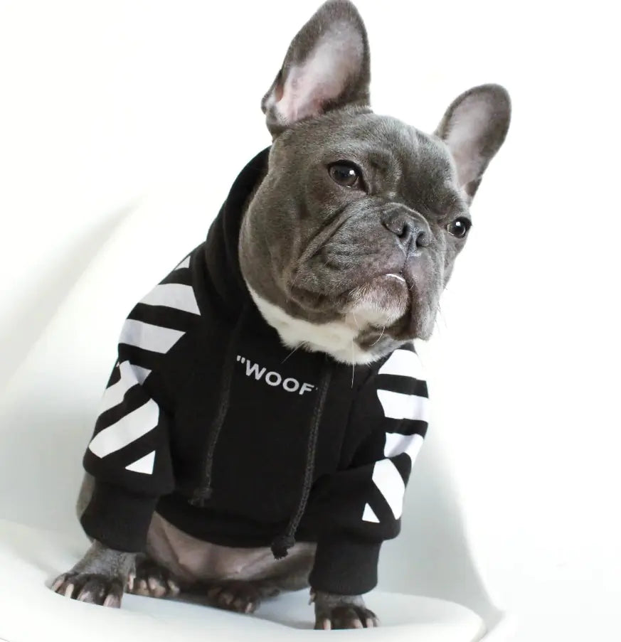 Corgi Schnauzer Bulldog Dog Hoodie with WOOF Design