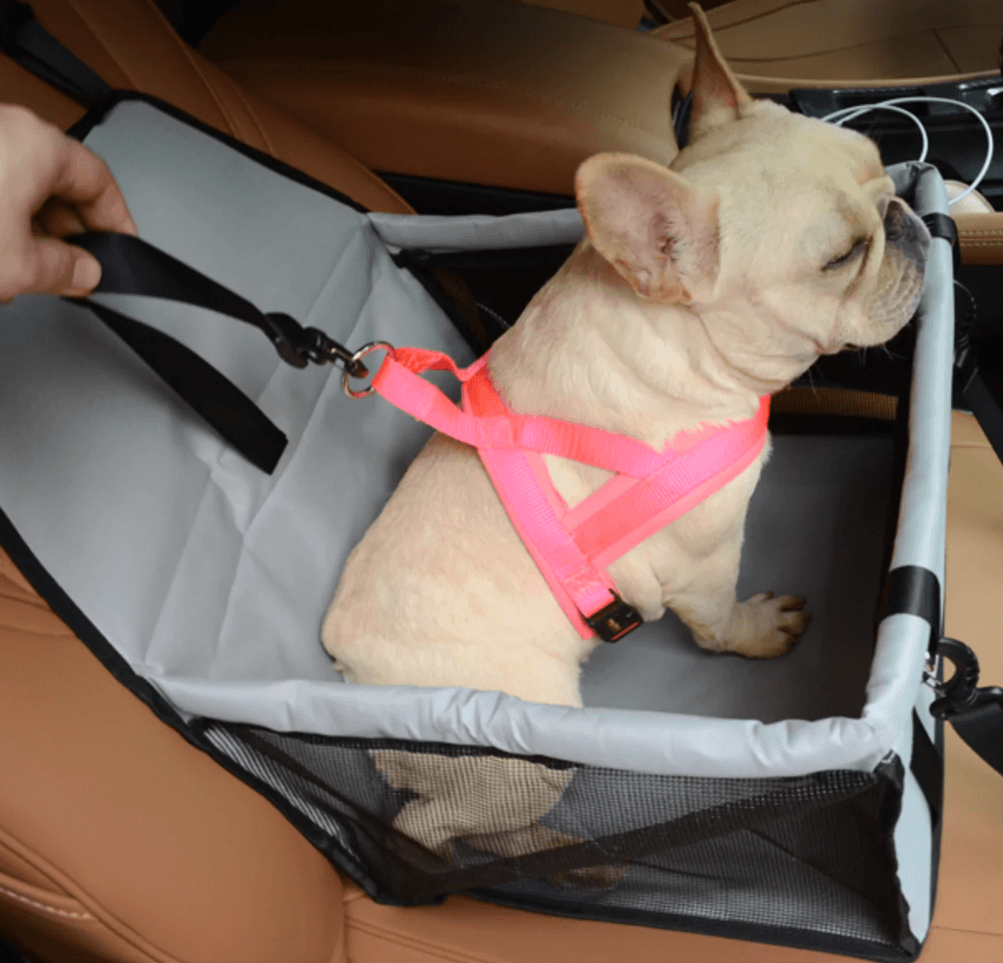 French Bulldog Car Seats