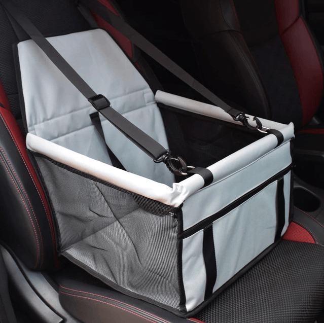 French Bulldog Car Seats