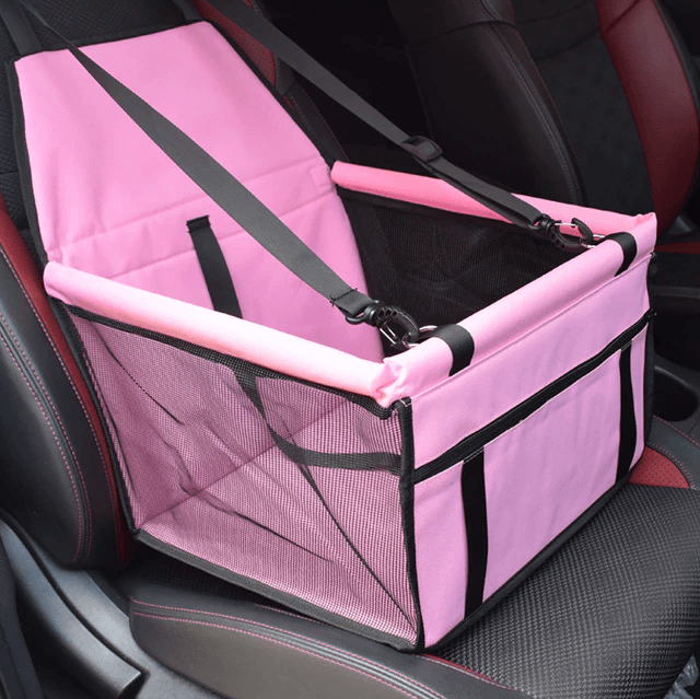 French Bulldog Car Seats