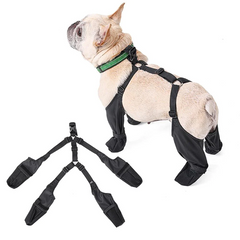 French Bulldog Footwear Paws Protector