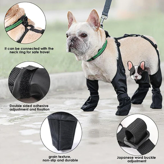 French Bulldog Footwear Paws Protector