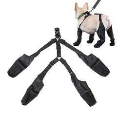 French Bulldog Footwear Paws Protector