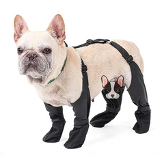 French Bulldog Footwear Paws Protector