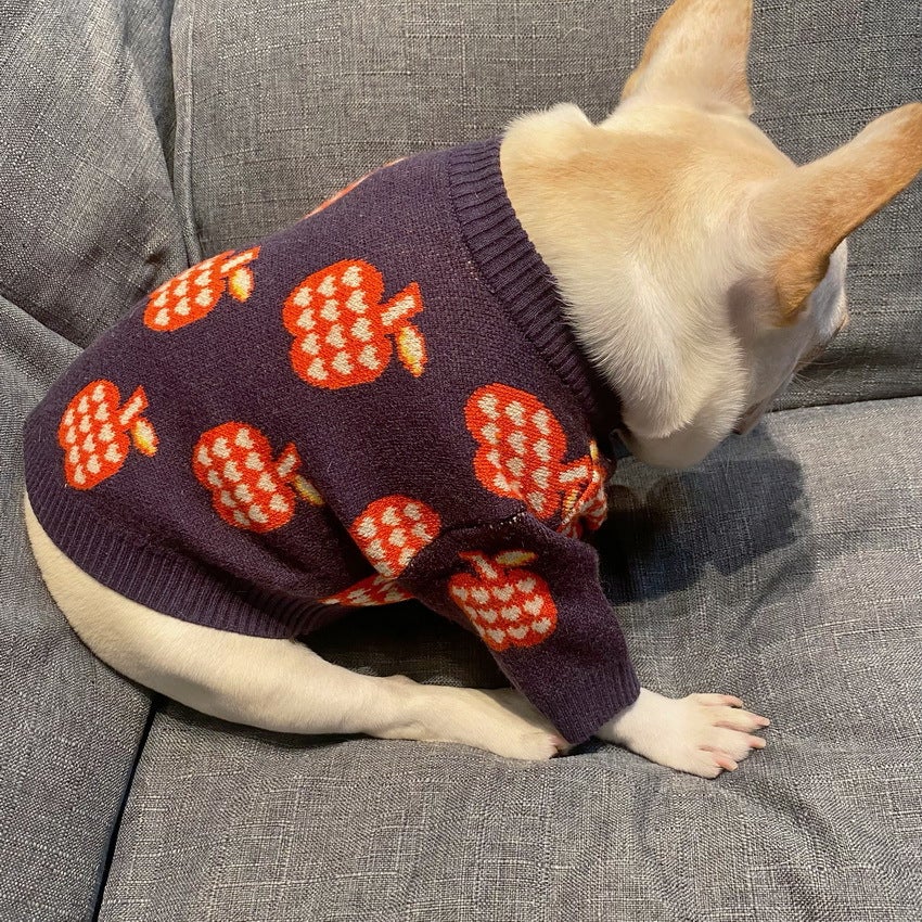 Red Apple French Bulldog Sweater