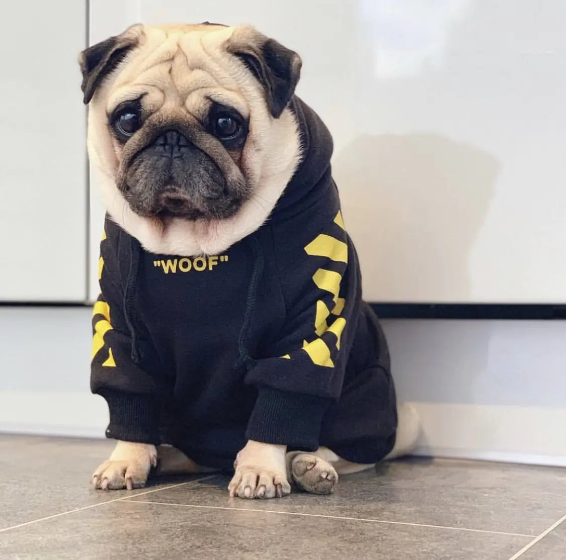 Trendy Fleece Hoodie for Small Dogs (French Bulldog, Pug)