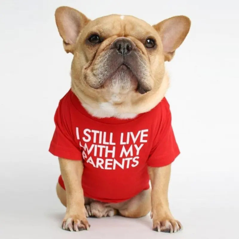 French Bulldog Turtleneck Round Neck T-shirt for Pets