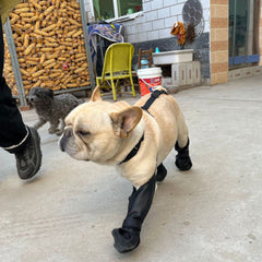 French Bulldog Footwear Paws Protector