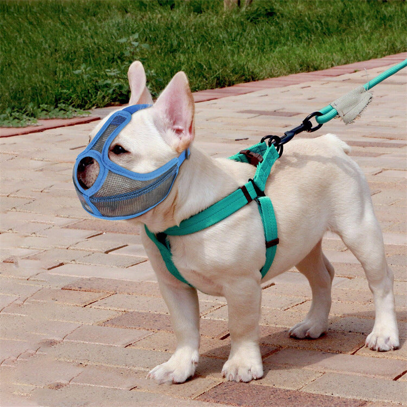Vet Muzzle for French Bulldogs