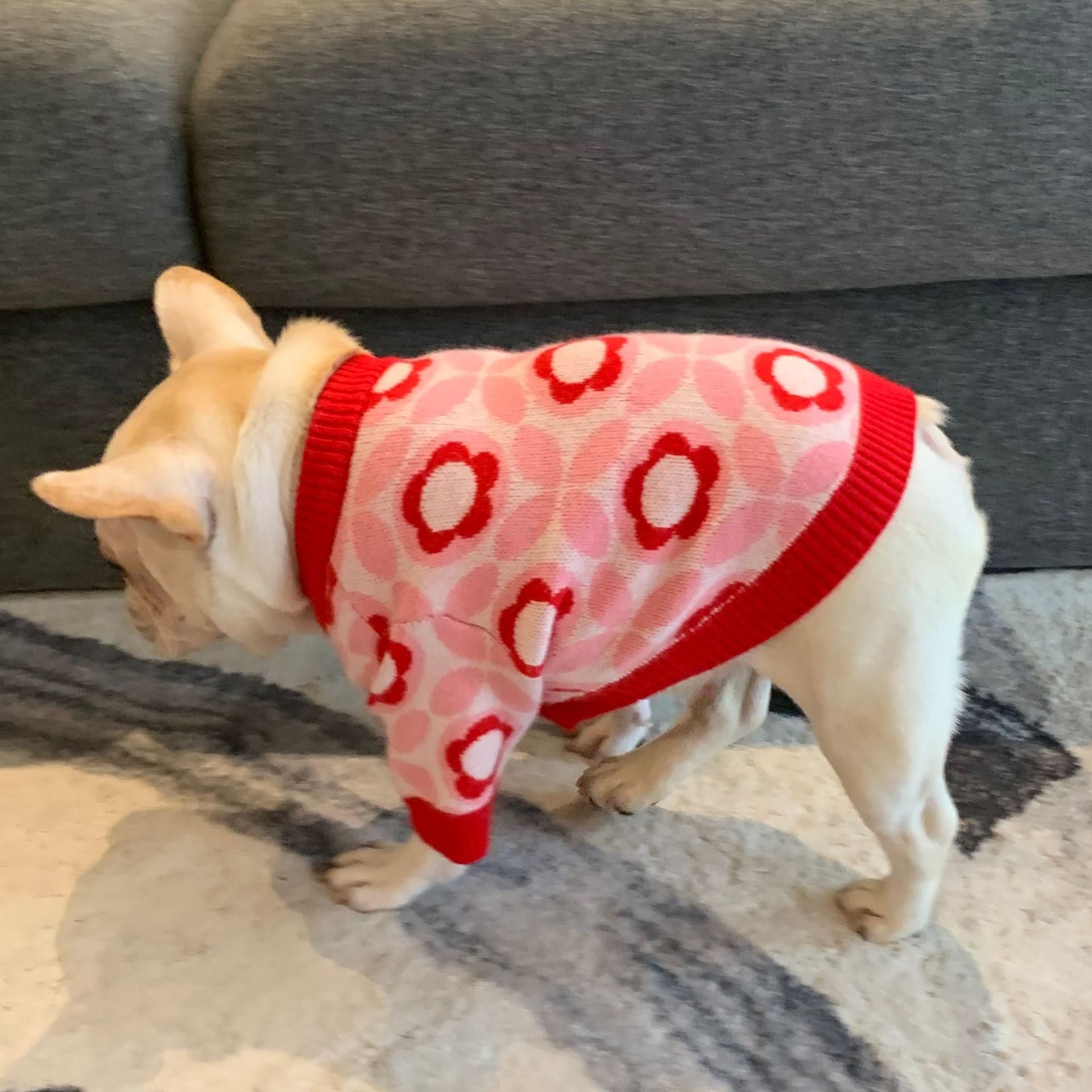 Red Flower Frenchie Sweater