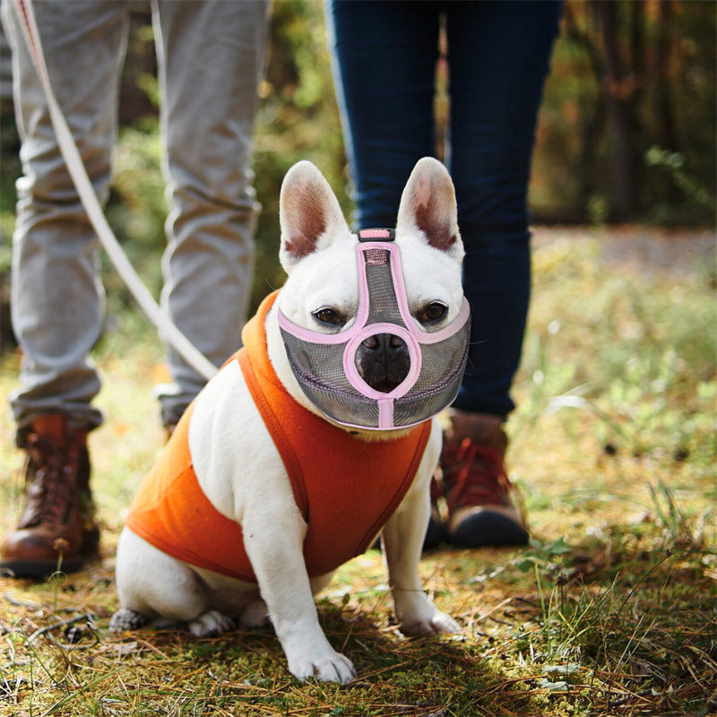 Vet Muzzle for French Bulldogs
