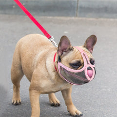 Vet Muzzle for French Bulldogs