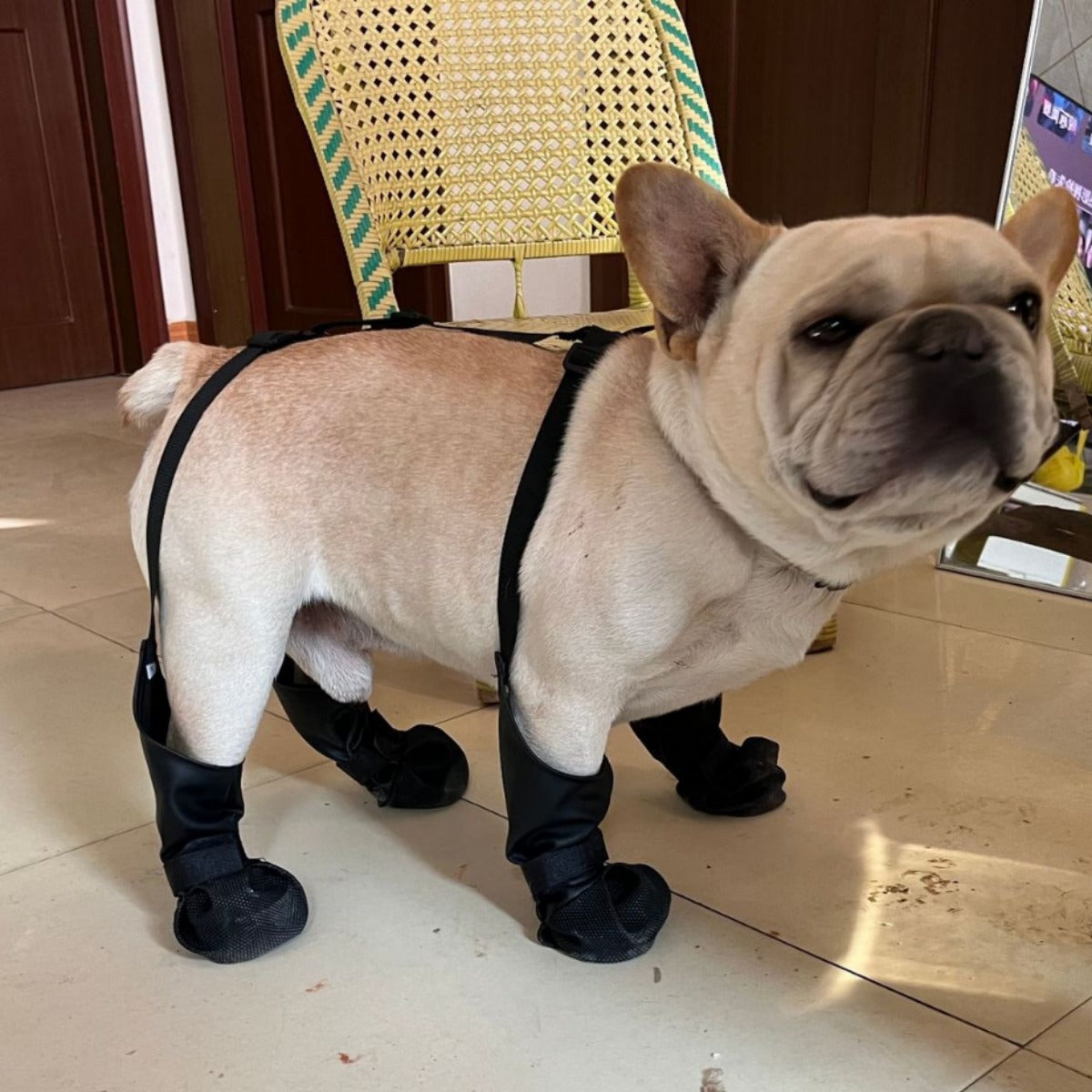 French Bulldog Footwear Paws Protector