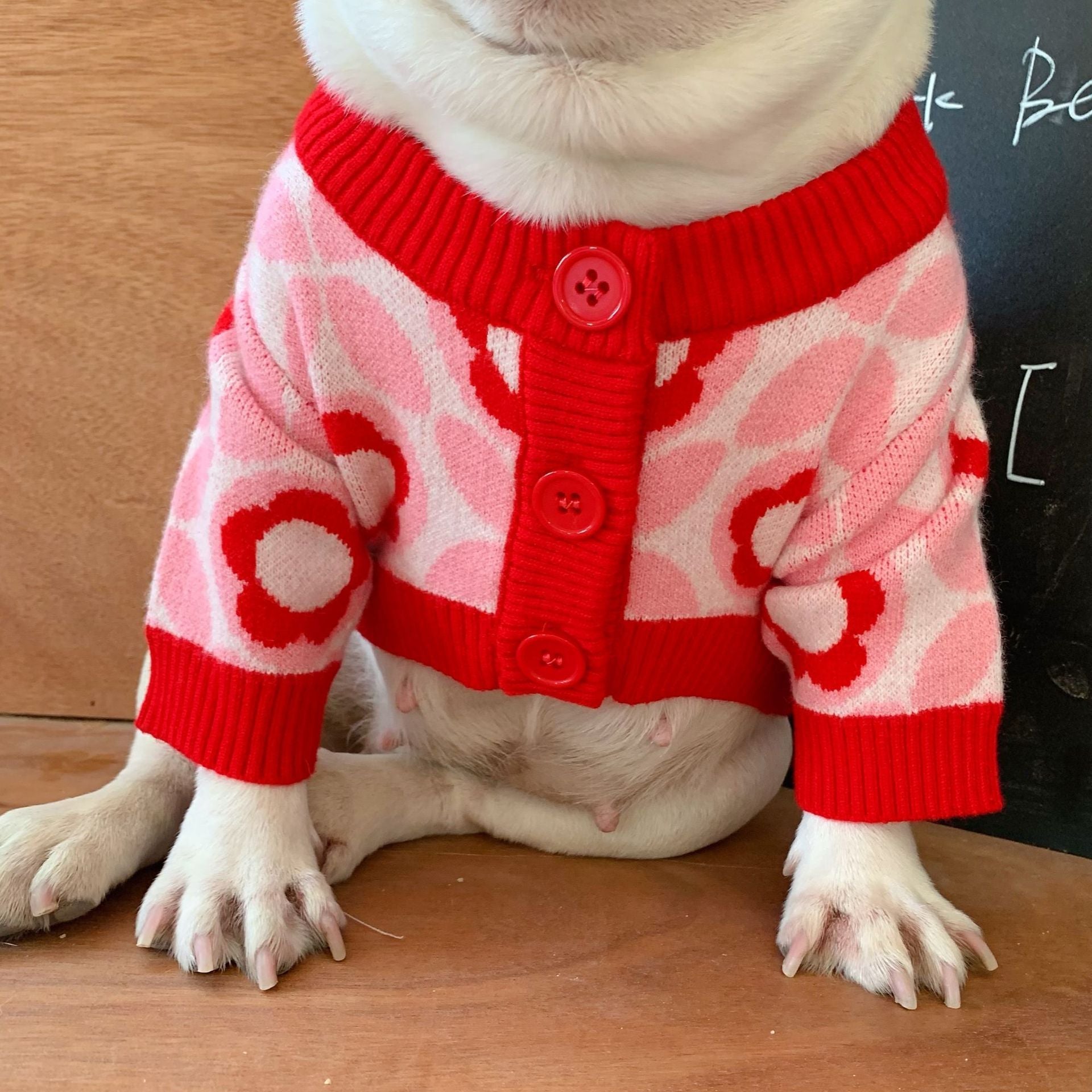 Red Flower Frenchie Sweater