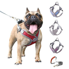 PET Strap Collar and Leash for Small to Medium Dogs