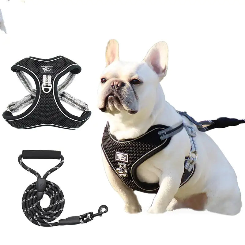 Reflective and Breathable Dog Leash and Rope