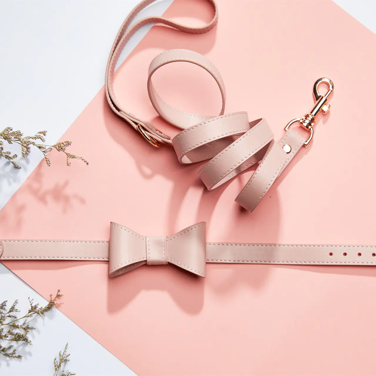 Cute Bow Collar and Leash Set for Bulldog