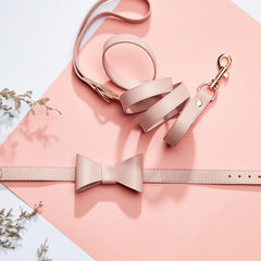 Cute Bow Collar and Leash Set for Bulldog