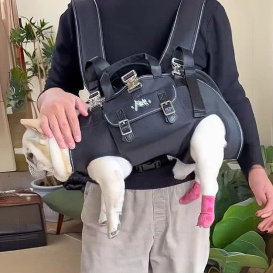 Shoulder French Bulldog Carrier