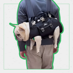 Shoulder French Bulldog Carrier