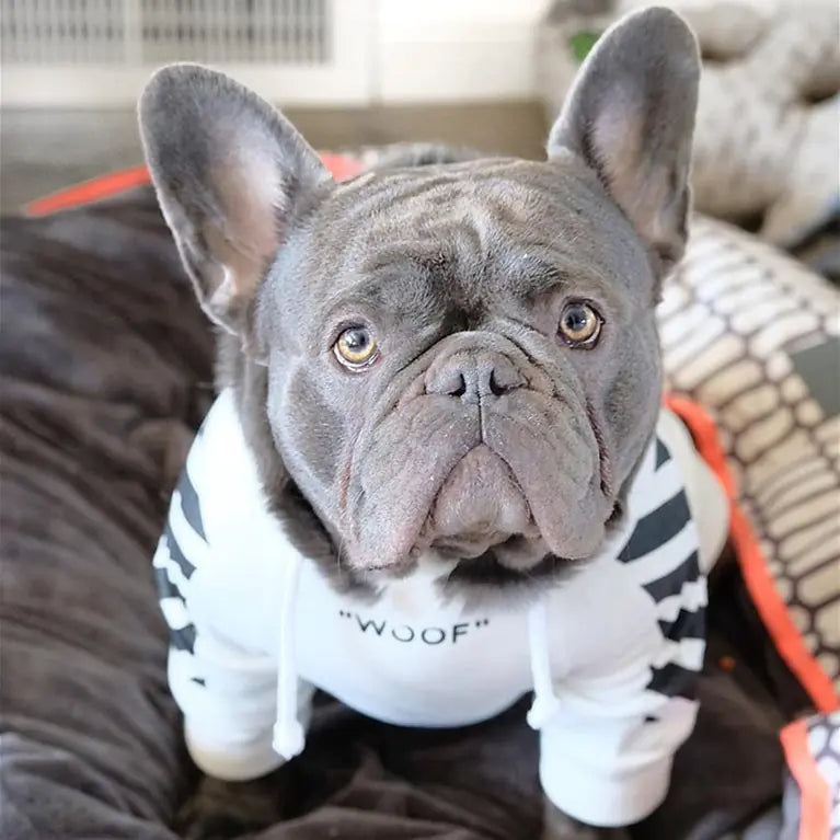 Corgi Schnauzer Bulldog Dog Hoodie with WOOF Design