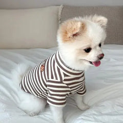 Chic Summer Canine Outfits