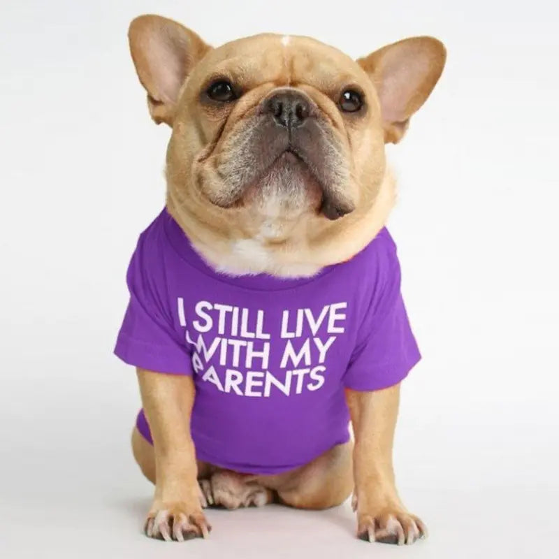 French Bulldog Turtleneck Round Neck T-shirt for Pets