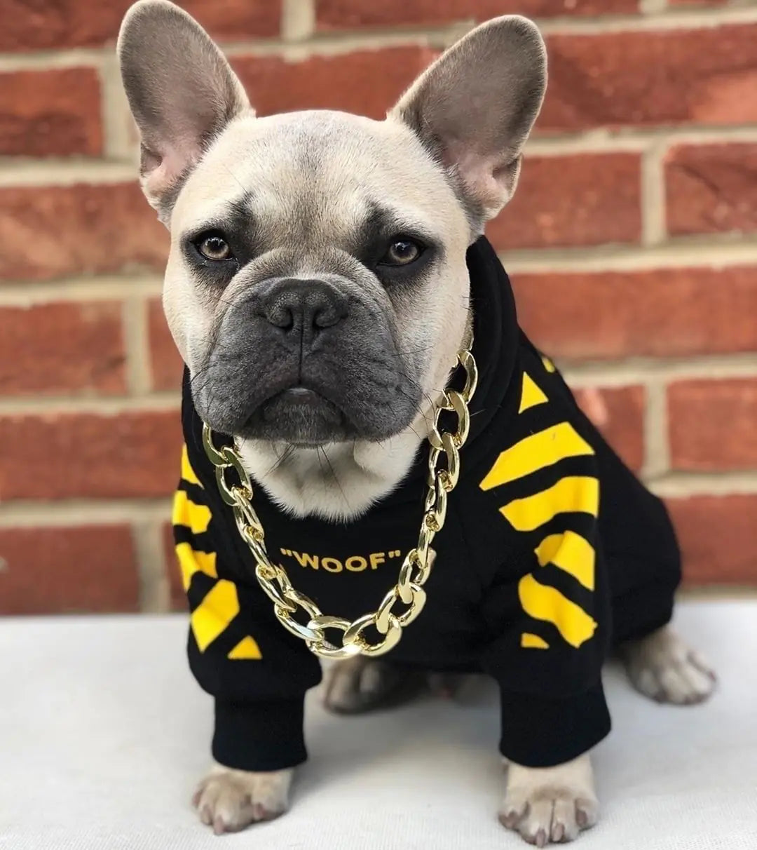 Corgi Schnauzer Bulldog Dog Hoodie with WOOF Design