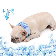 Pet Cooling Ice Scarf for Outdoor Heat Relief
