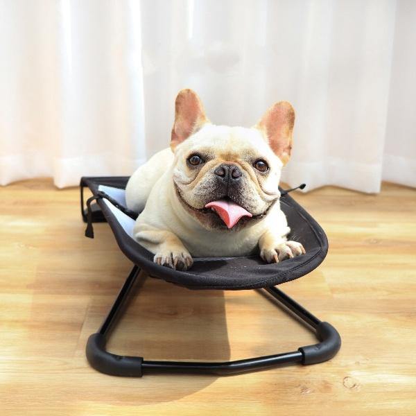 French Bulldog Rocking Chair