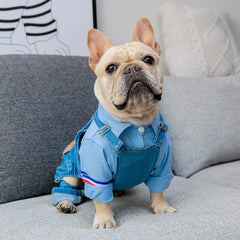 Jeans Jumpsuit for French Bulldog