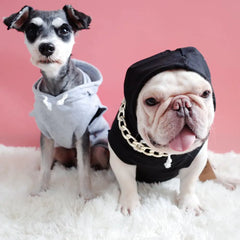 Hooded Summer Vest for dog