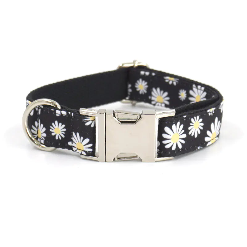 Pets Go Out Towing Rope with Daisy Print Design