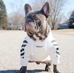 Trendy Fleece Hoodie for Small Dogs (French Bulldog, Pug)