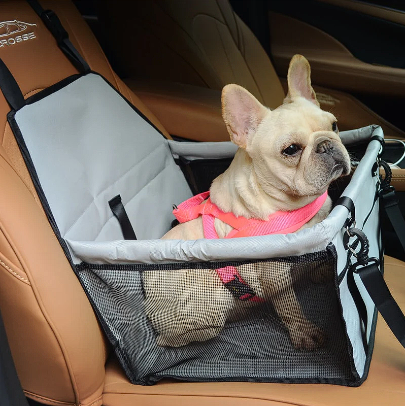 French Bulldog Car Seats