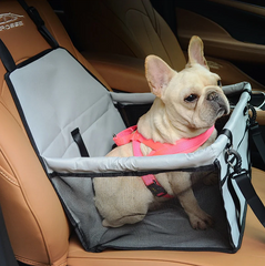 French Bulldog Car Seats