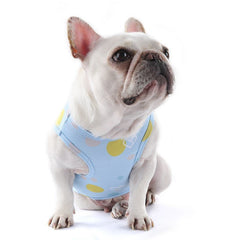 French Bulldog Summer Cooling Vest